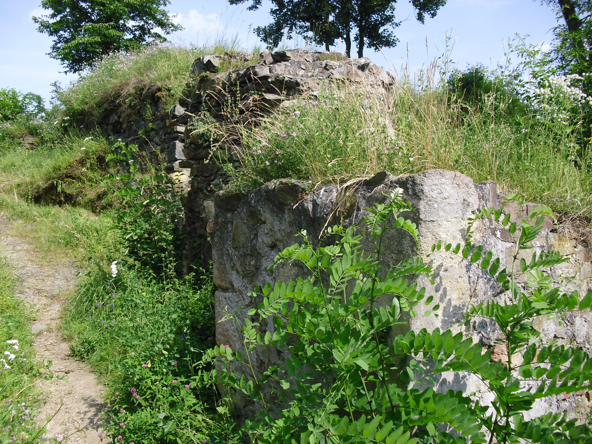 zřícenina hradu